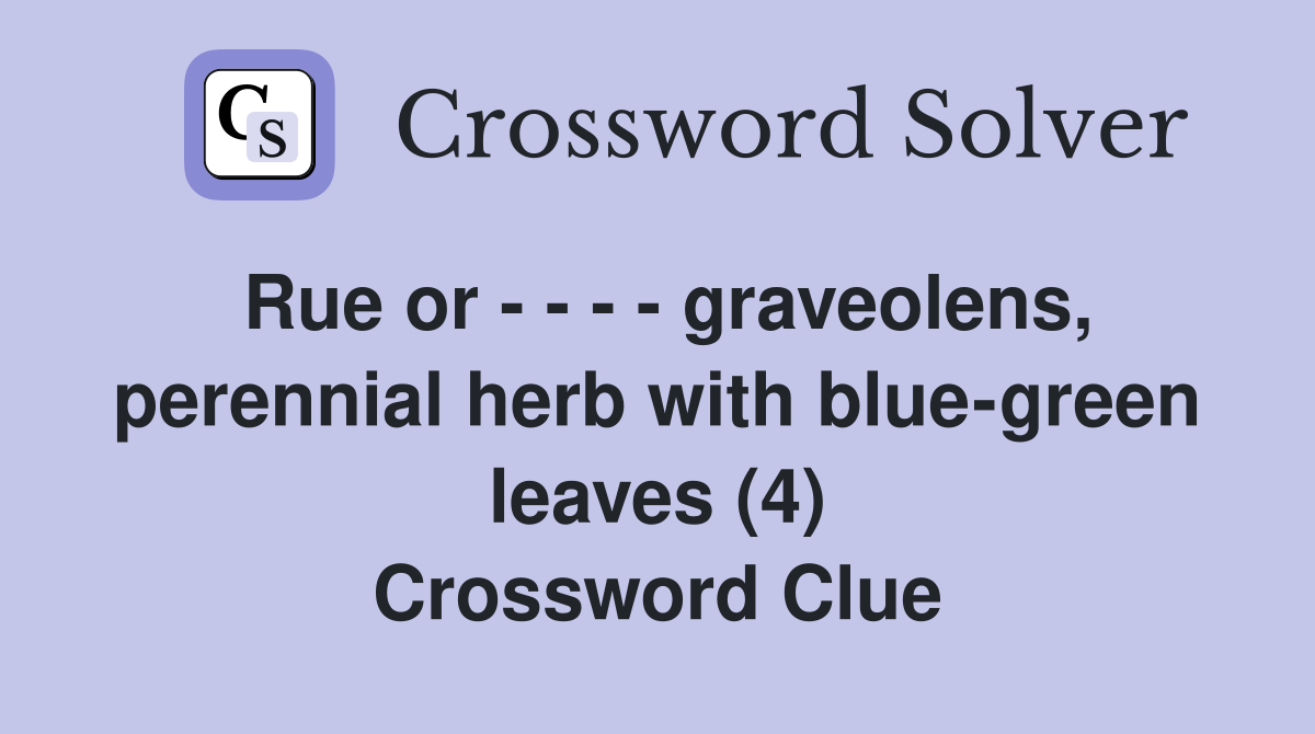 Rue or graveolens, perennial herb with bluegreen leaves (4